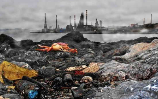 工業(yè)污染環(huán)境