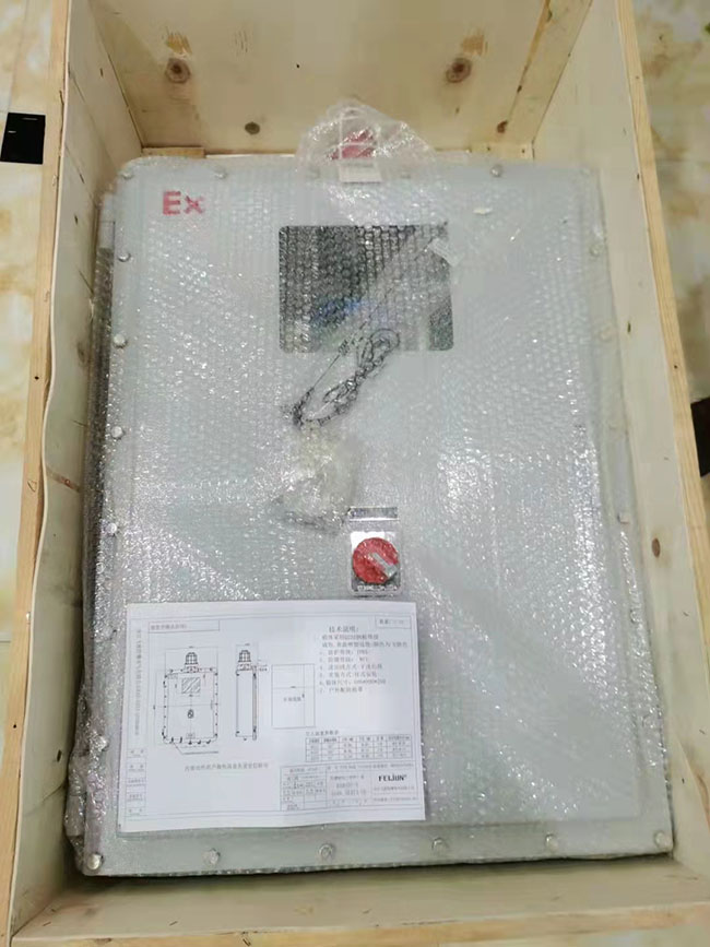 工業(yè)級防爆型二合一氣體檢測儀