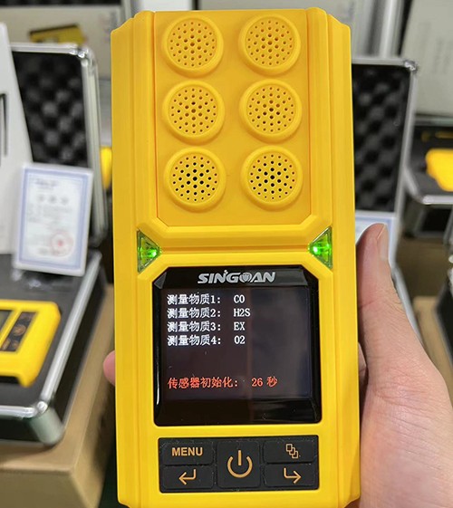 無(wú)線型便攜式臭氧檢測(cè)儀