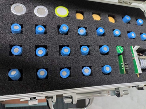 進(jìn)口天然氣傳感器