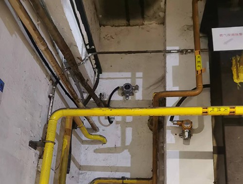 可燃有毒氣體檢測(cè)儀